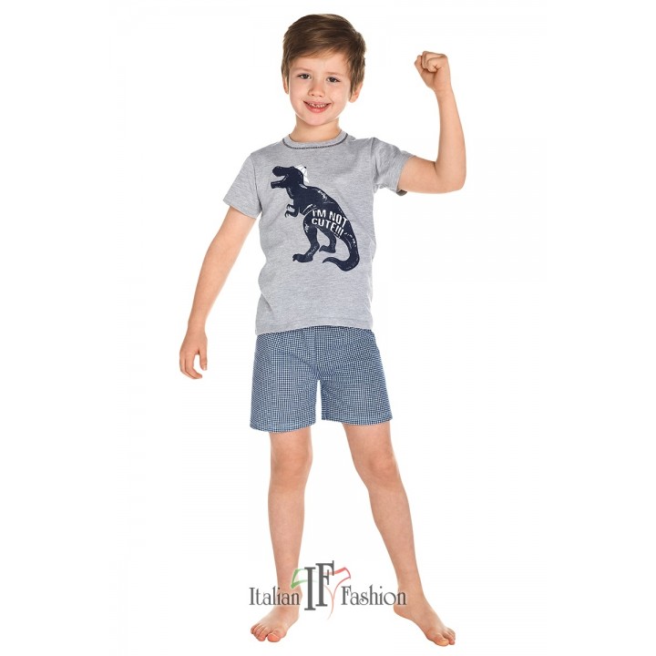 ПИЖАМА I FASH ALAN DZ KR KR 2-6л 98-104 меланж
