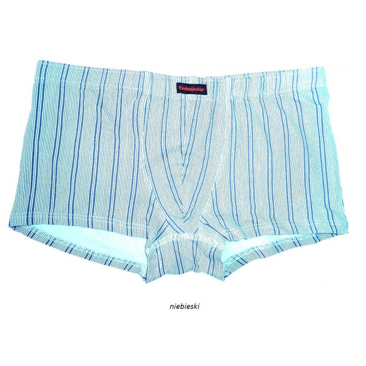 ШОРТЫ ATLANTIC EMBAJ EEH-050 L синие