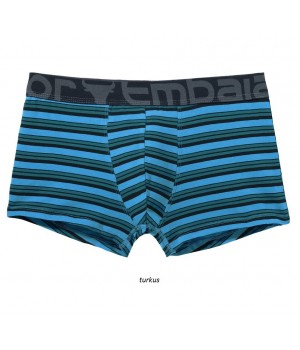 ШОРТЫ ATLANTIC EMBAJ EEH-108 XXL бирюзовые