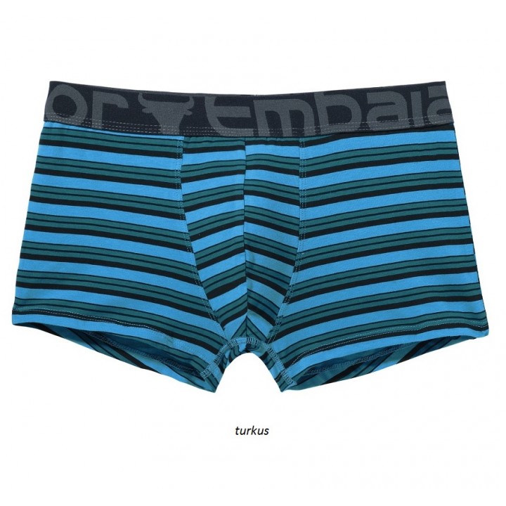 ШОРТЫ ATLANTIC EMBAJ EEH-108 XXL бирюзовые