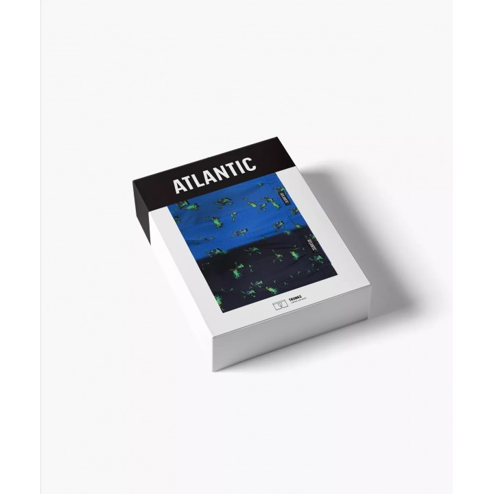 Шорты ATLANTIC 2MHH-006 WL25 GRA/NIEC /S