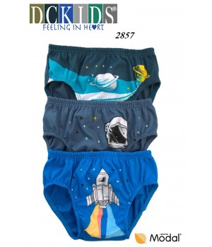 Труси DCPOLO 2857 4-6