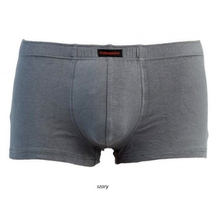 ШОРТЫ АТЛАНТИЧЕСКИЕ ECH-003 M серые