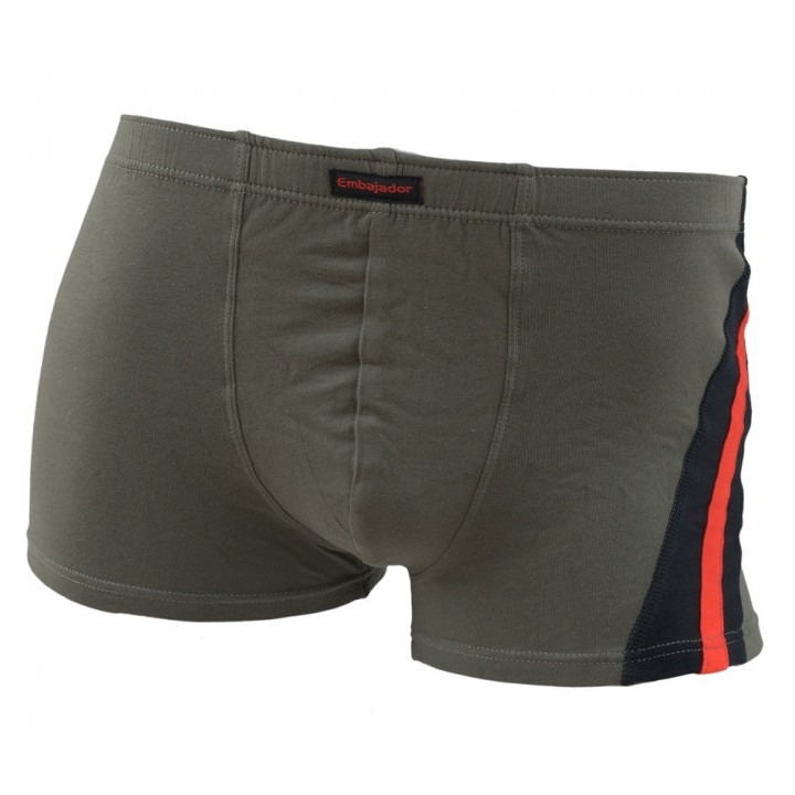 ШОРТЫ ATLANTIC EMBAJ EEH-021 M khaki