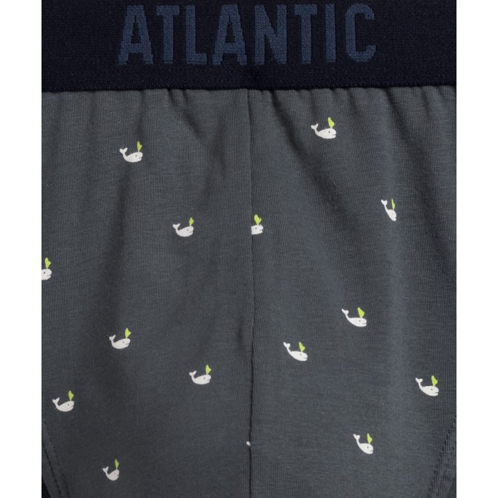 СЛИЗЬКИЙ ATLANTIC 3MP-158 WL24 NO/GRA/GRF /S