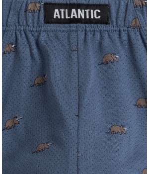 SLIPY ATLANTIC 3MP-167 WL24 GRA/GRAJ/NIE /M