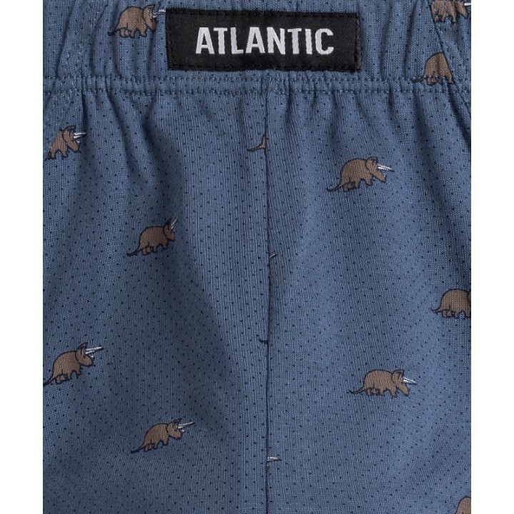 СЛИЗЬКИЙ ATLANTIC 3MP-167 WL24 ВІДТВОРЕННЯ/ВІДТВОРЕННЯ/НЕ /M