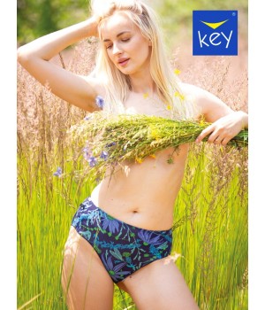 FIGI KEY LPC-538 A24 /XL