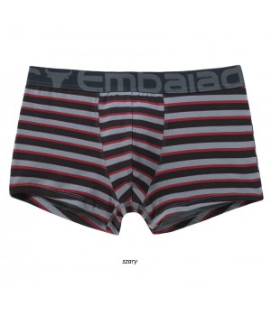 ШОРТЫ ATLANTIC EMBAJ EEH-108 M серые ШОРТЫ ATLANTIC EMBAJ EEH-108 M серые