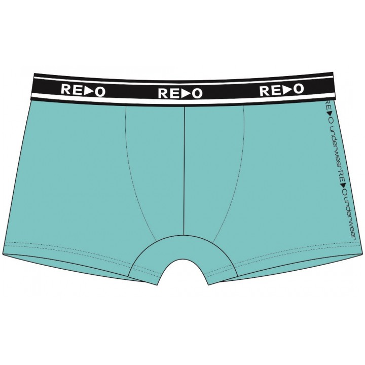 REDO SHORTS 1BE-412_V 3XL микс цветов
