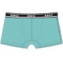 REDO SHORTS 1BE-412_V 3XL микс цветов