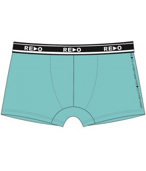 REDO SHORTS 1BE-412_V L микс цветов