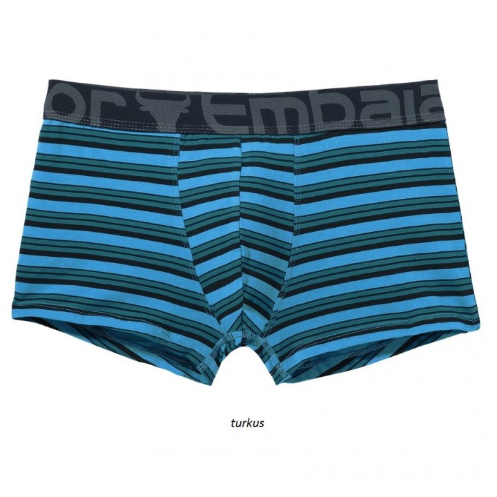 ШОРТЫ ATLANTIC EMBAJ EEH-108 L бирюзовые