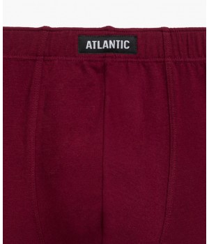 SZORTY ATLANTIC 3MH-201 JZ24 GRA/WIN/GRA /S