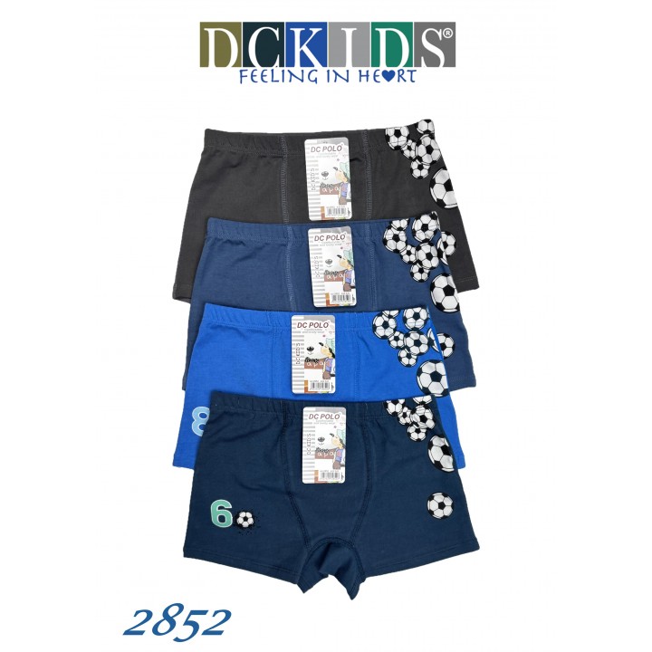 Дитячі шорти DCPOLO 2852