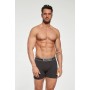 SZORTY GATTA BOXER COTTON TITANIUM/XXL