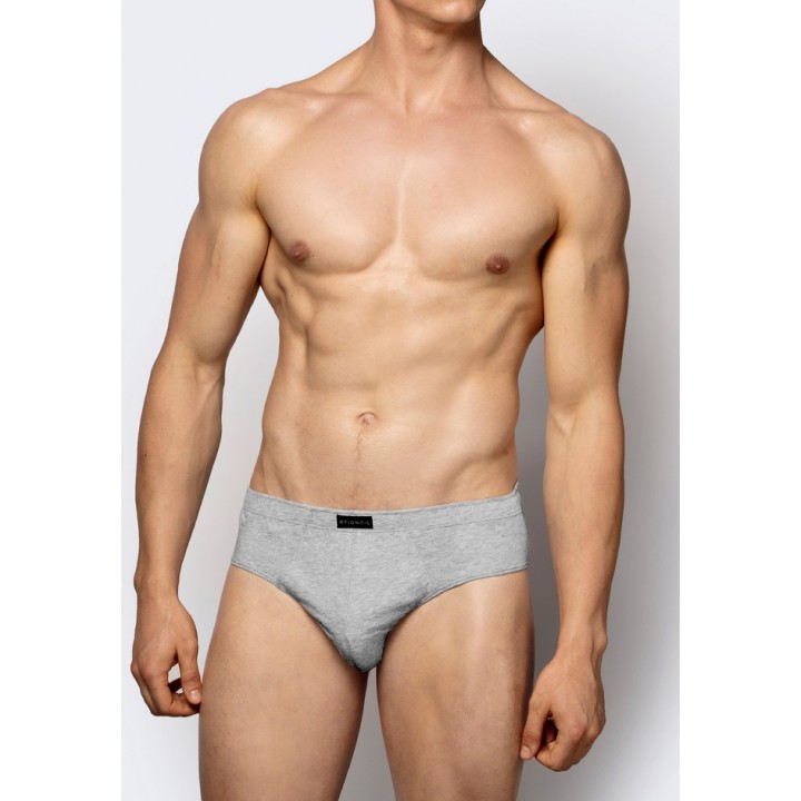 Труси ATLANTIC 2BMP-006 L сірі