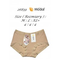 FIGI DCPOLO 26839 MODAL