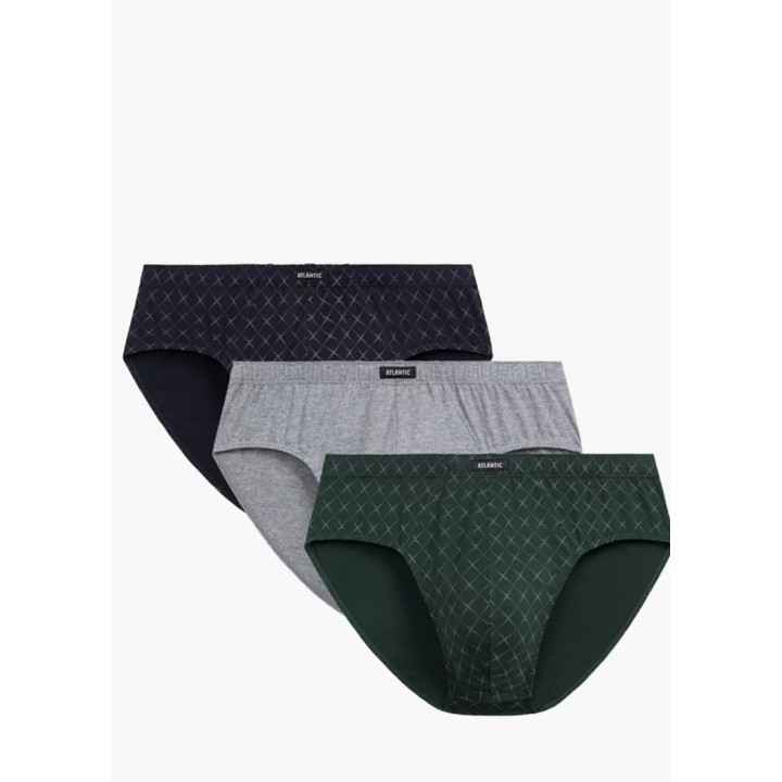 Сліпи ATLANTIC 3MP-205 JZ25 GRA/SZM/ZIECC /L