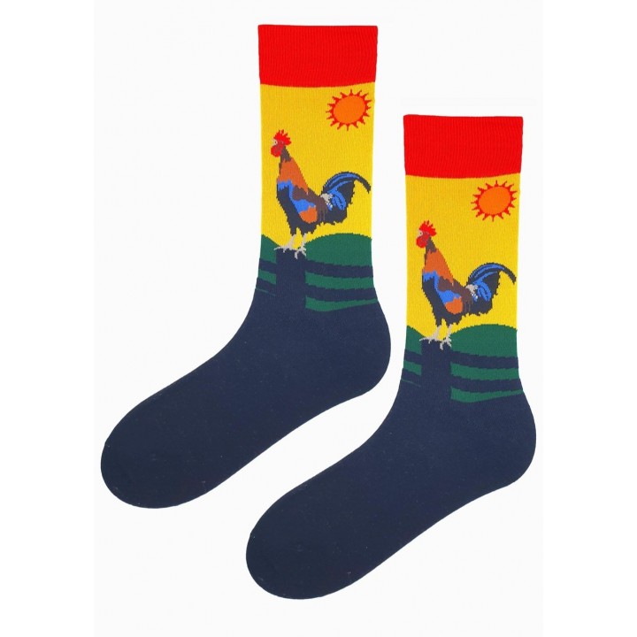 Чоловічі шкарпетки MARILYN F54 41/45