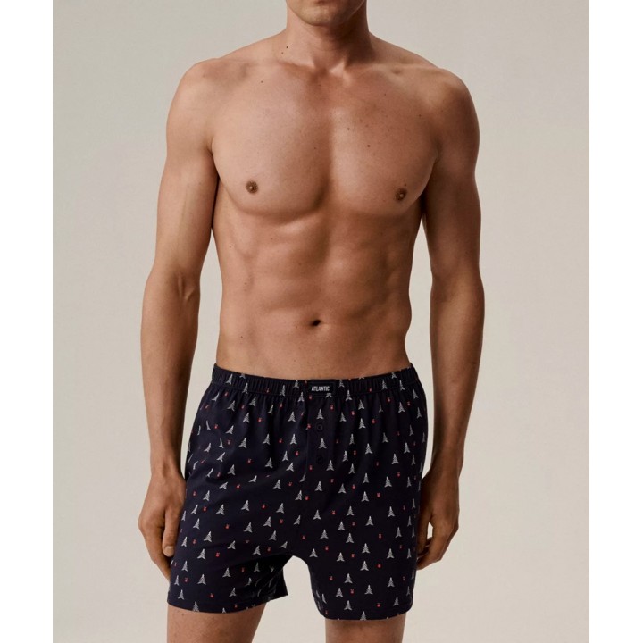 Боксеры Atlantic 2GMB-010 JZ25 GRA /M