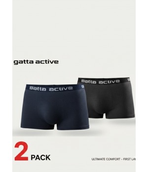 Спортивные боксерские шорты GATTA 2PP, цвет серый/D, темно-синий/L