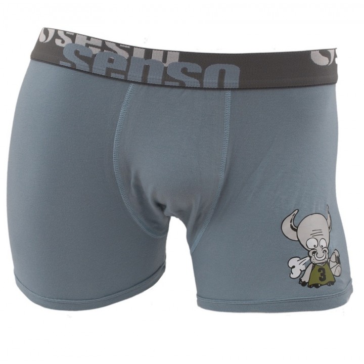 ШОРТИ SESTO SENSO P180,108 M попелясто-сірий