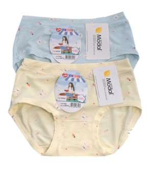 Девичьи трусики DCPOLO 6313, модель 6313.