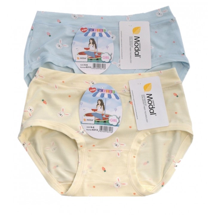Девичьи трусики DCPOLO 6313, модель 6313.