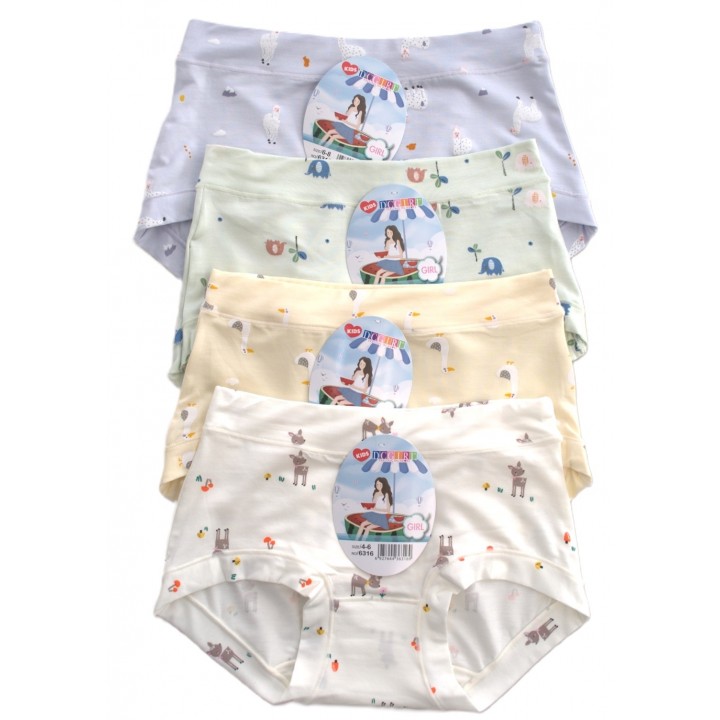 Труси DCPOLO 6316