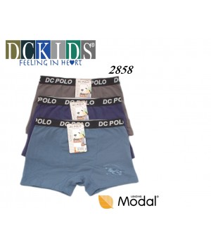 Детские хлопковые шорты DCPOLO 2858