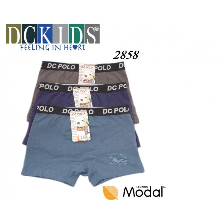 Детские хлопковые шорты DCPOLO 2858