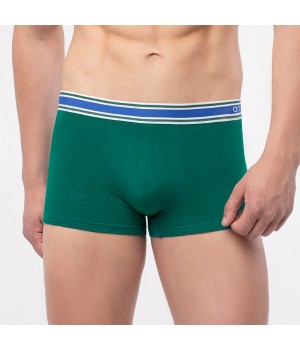 Шорты ATLANTIC MH-1114 M зеленые