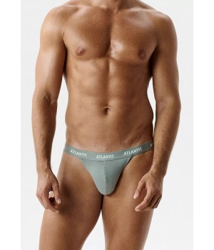 Трусы ATLANTIC 3MP-1576 WL26 GRA/ZIEJ/GRAC /S