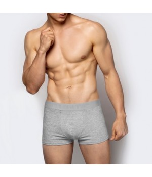 Шорты ATLANTIC BMH-016 серые/M