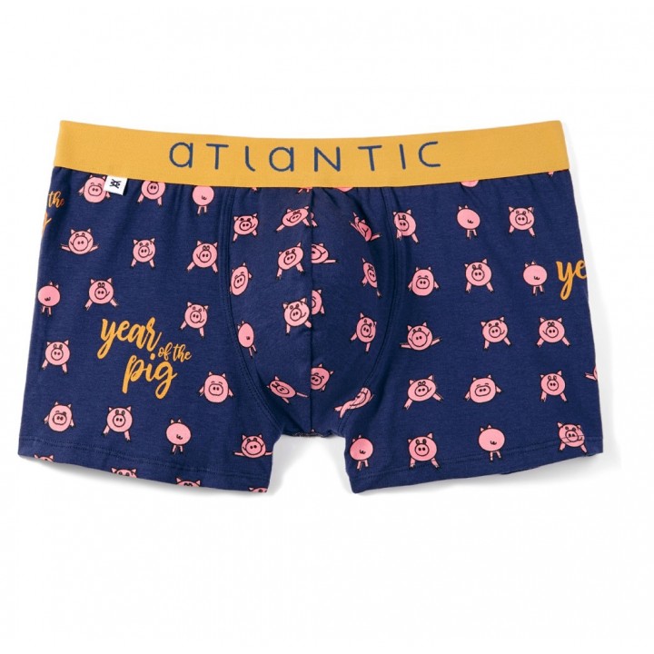 Шорты ATLANTIC MH-1054 JZ18 GRA /XXL