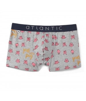 Шорты ATLANTIC MH-1054 JZ18 серые/светло-коричневые/L