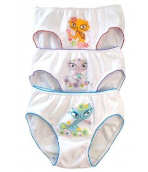 DCPOLO 3939, брифы 4-6