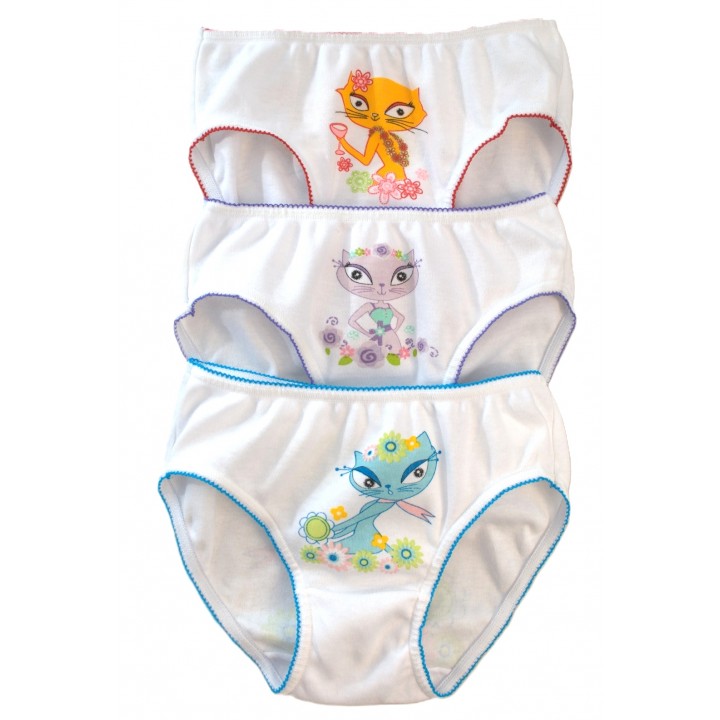 DCPOLO 3939, брифы 4-6