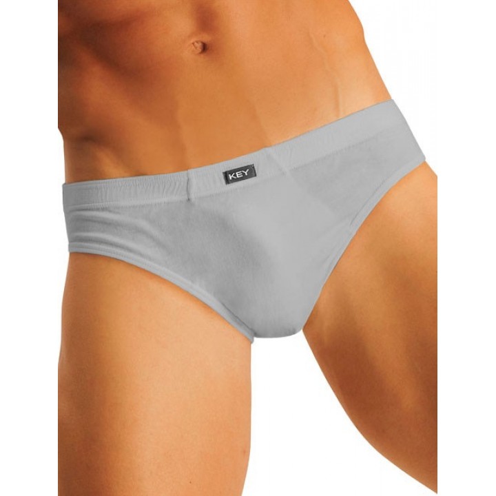 Щелчок ключа MPP-134 A4 M светло-серый