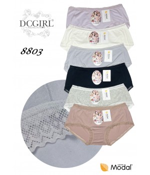 DCPOLO 8803 MODAL BRIEFS /L
