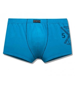 Шорты ATLANTIC MH-783 XL бирюзового цвета