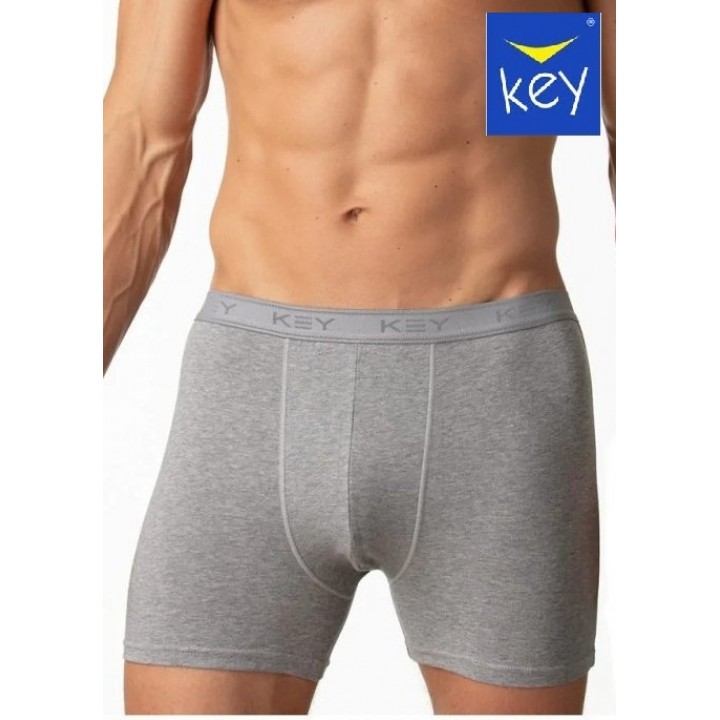 ШОРТИ-КЛЮЧІ MXM-019 СІРИЙ /L