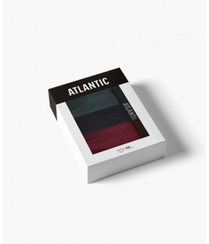 Сліпи ATLANTIC 3MP-094 JZ24 CZA/SZG/CAB /S