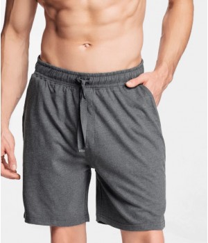 Штани ATLANTIC NMB-039 WL21 СІРИЙ/MEL /M