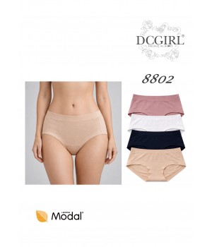 DCPOLO 8802 MODAL BRIEFS