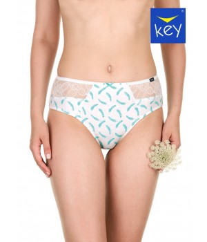 FIGI KEY LPC-971 A22 M мікс кольорів