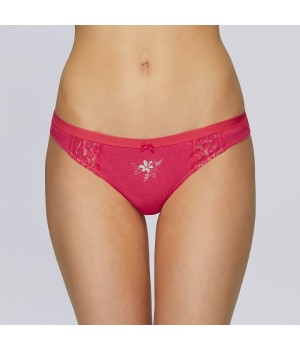 Труси ATLANTIC 2LP-2736 XL, мікс кольорів