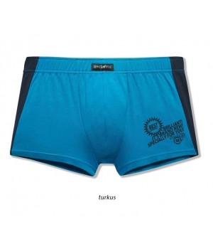 Шорты ATLANTIC MH-787 XL бирюзового цвета