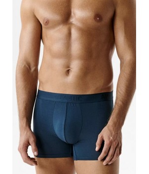 Шорти ATLANTIC 2MH-1204 WL26 C GRA /S